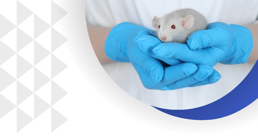 Welcome to the global Consortium for Public Outreach on Animal&nbsp;Research!